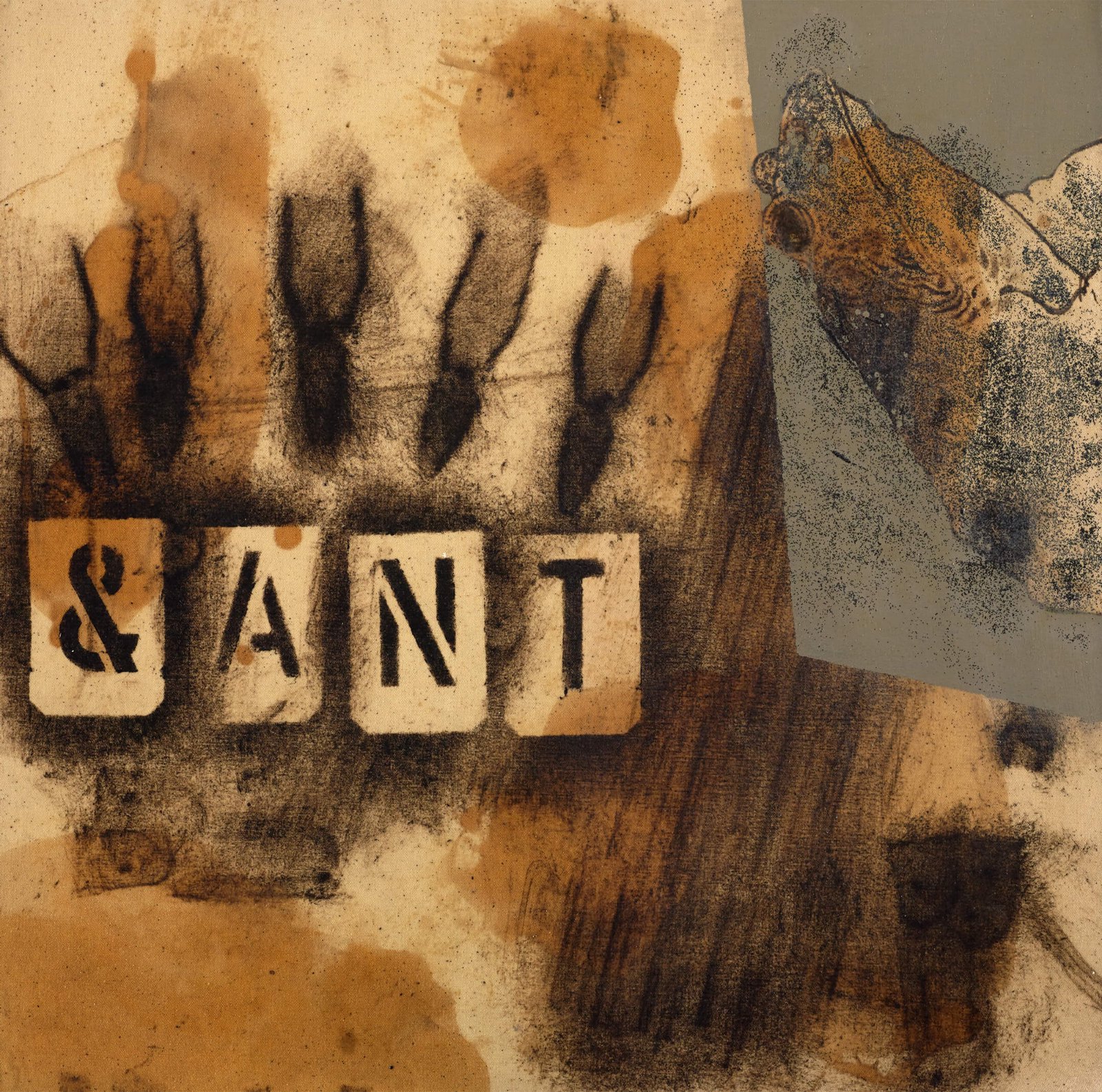 & Ant