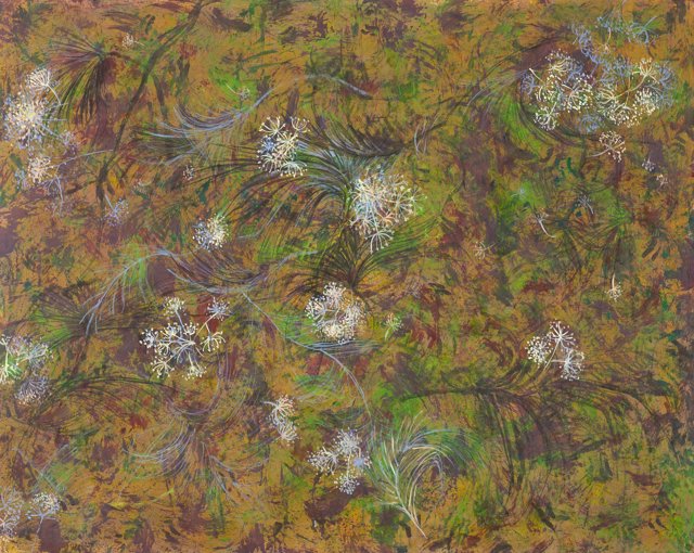 Water Lilies