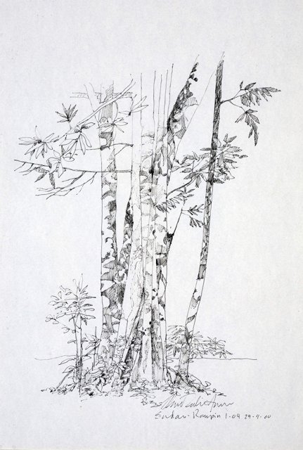 II