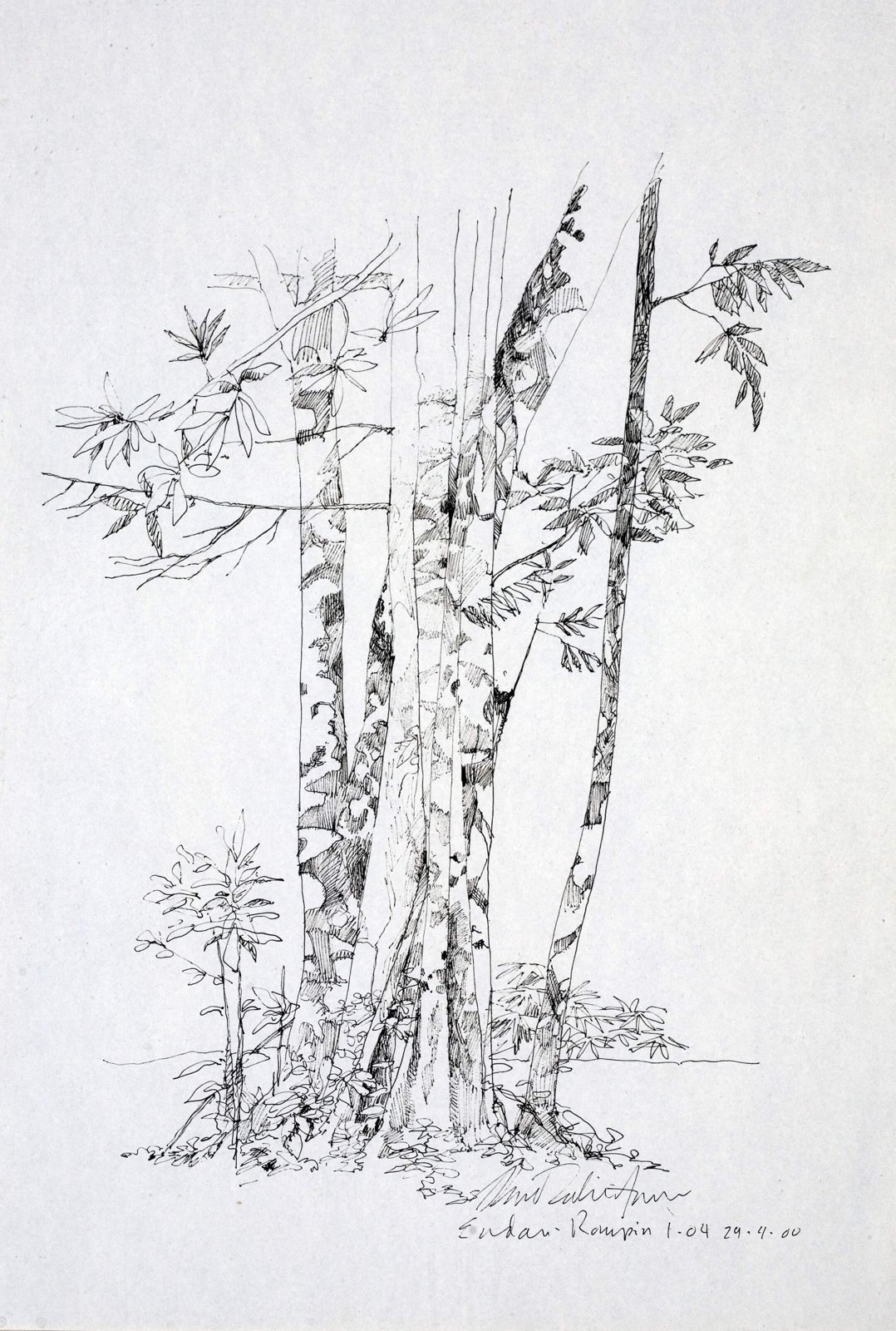II