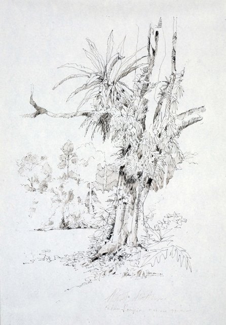 IV