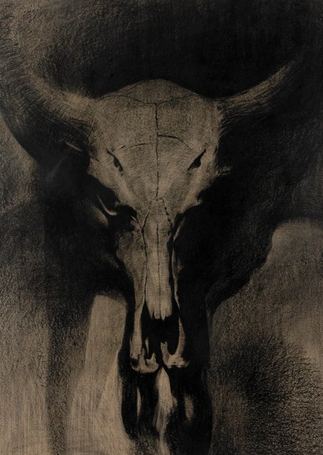 Skin & Bone I