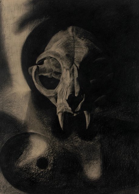 Skin & Bone II