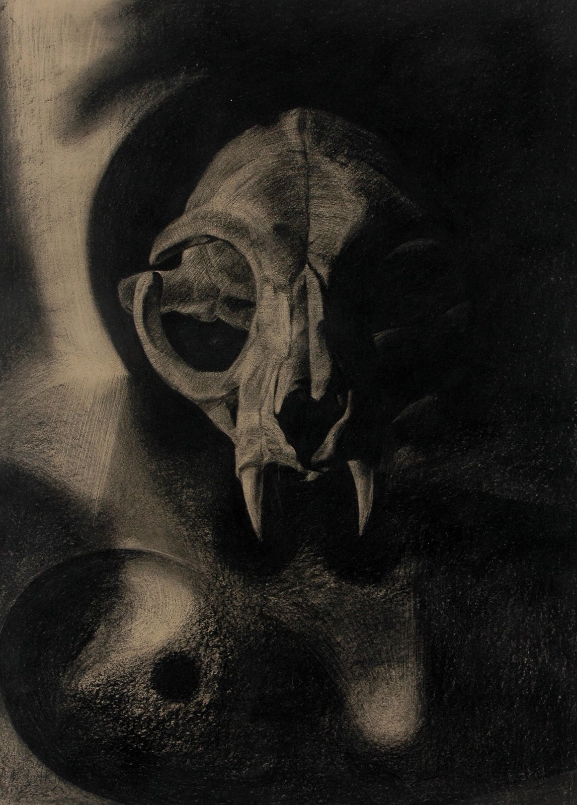 Skin & Bone II