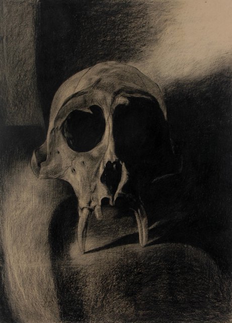 Skin & Bone III