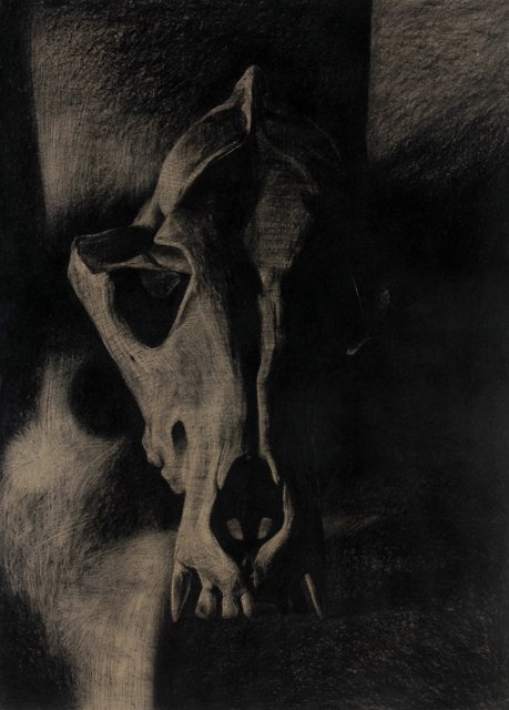 Skin & Bone IV