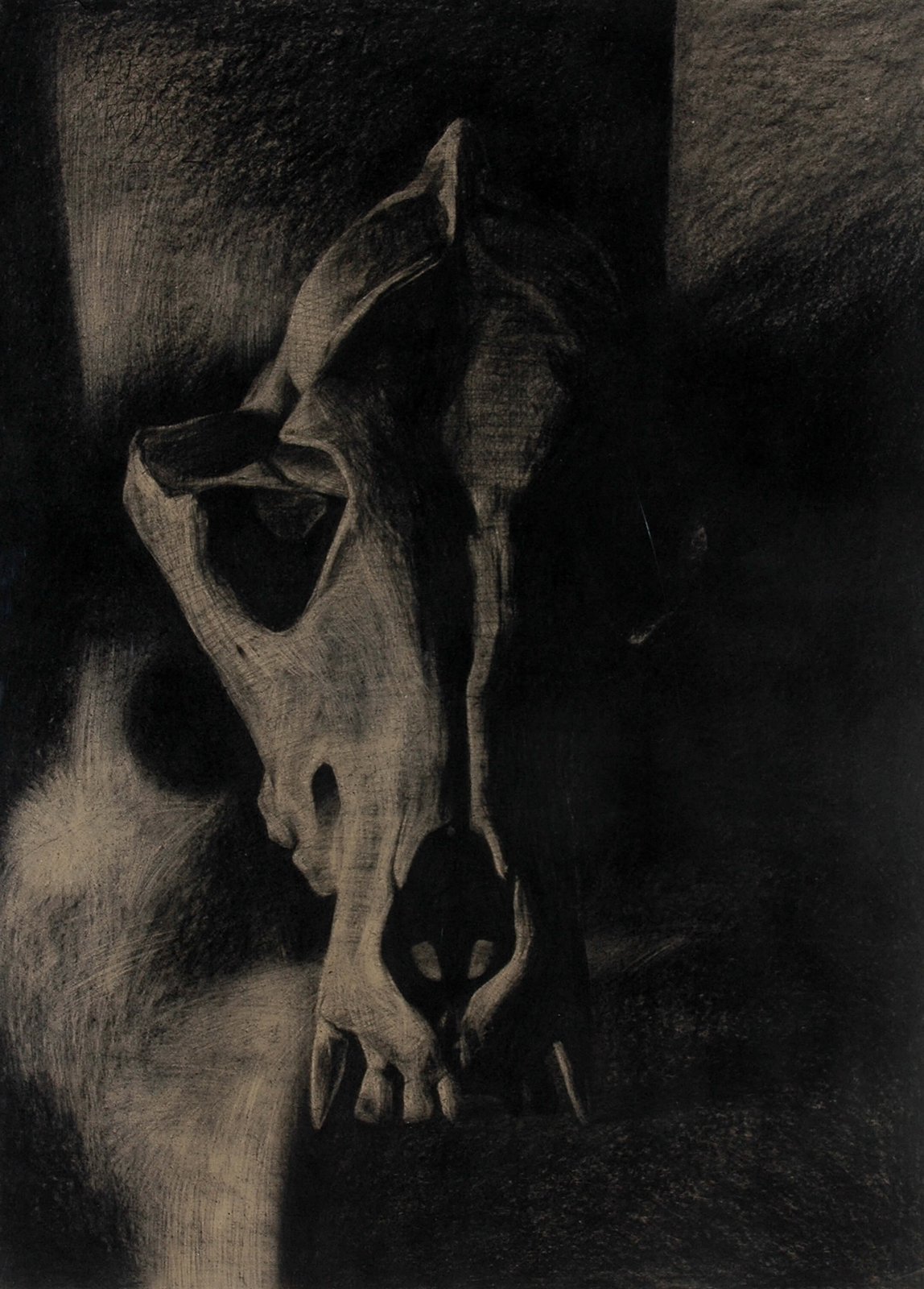 Skin & Bone IV