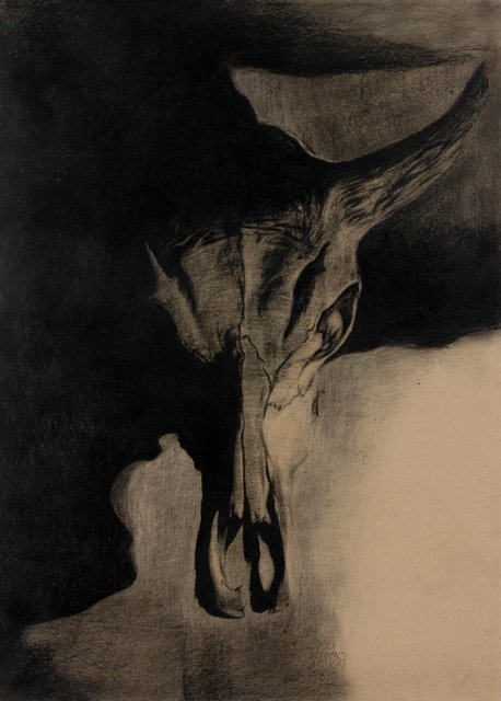Skin & Bone V
