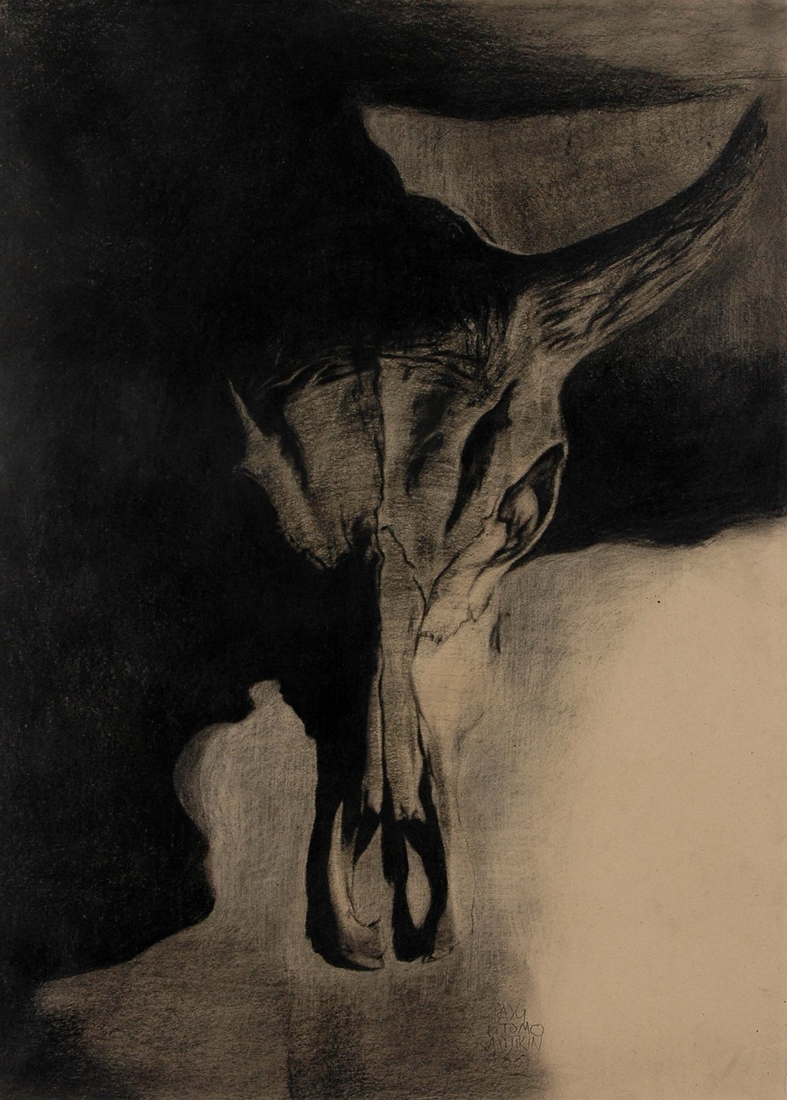 Skin & Bone V