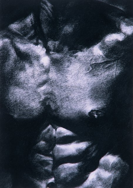 Male Torso