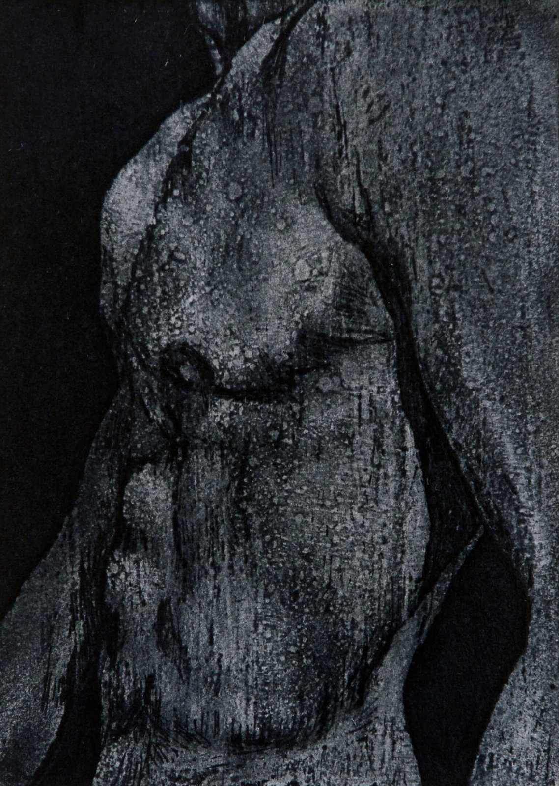 Shoulder (Artists Print)