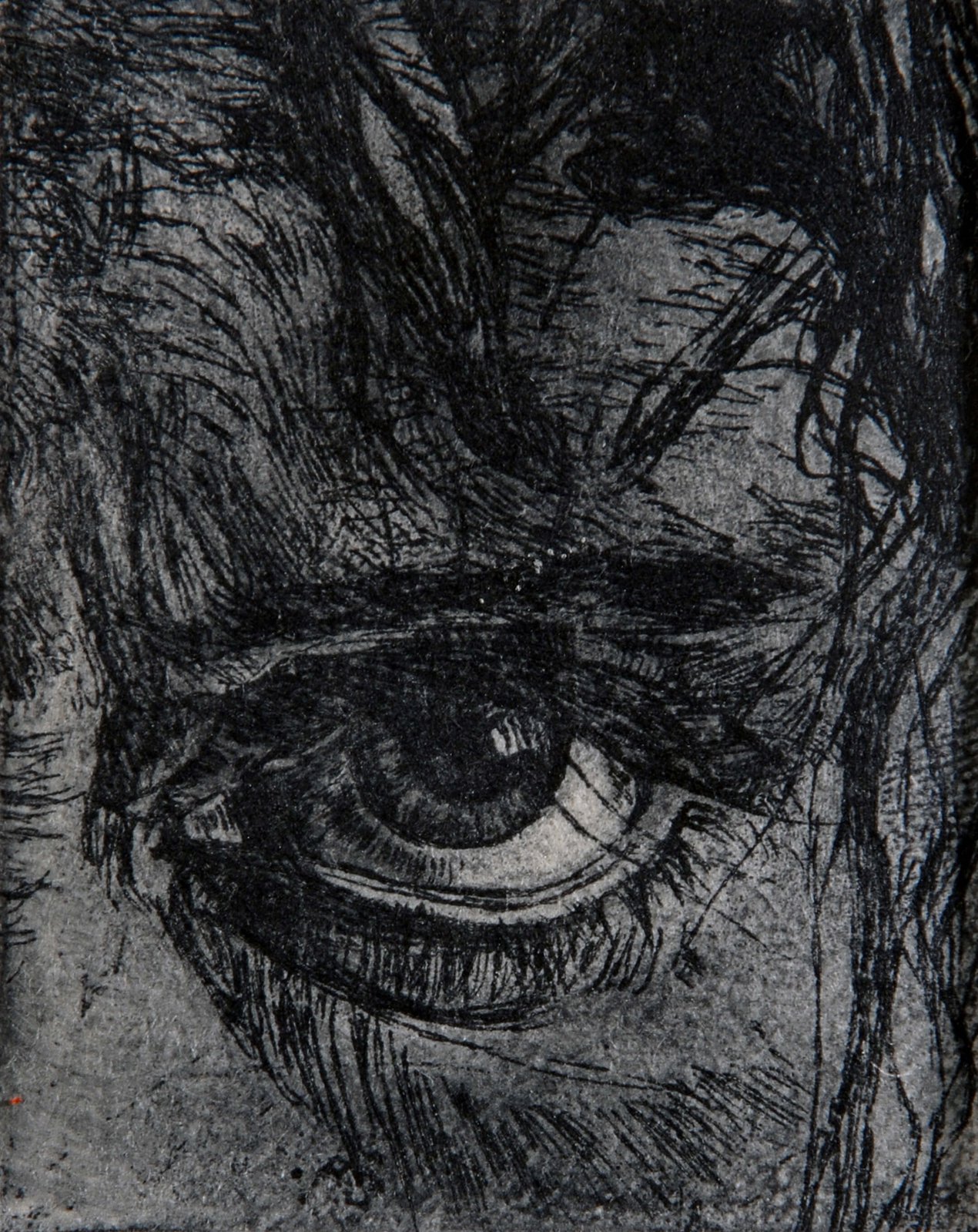 Stare (Artists Print)