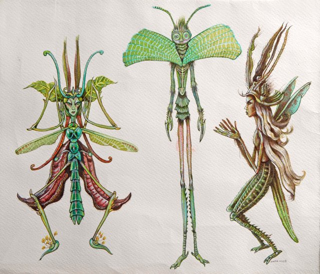 Fairies -  Flower Sprites