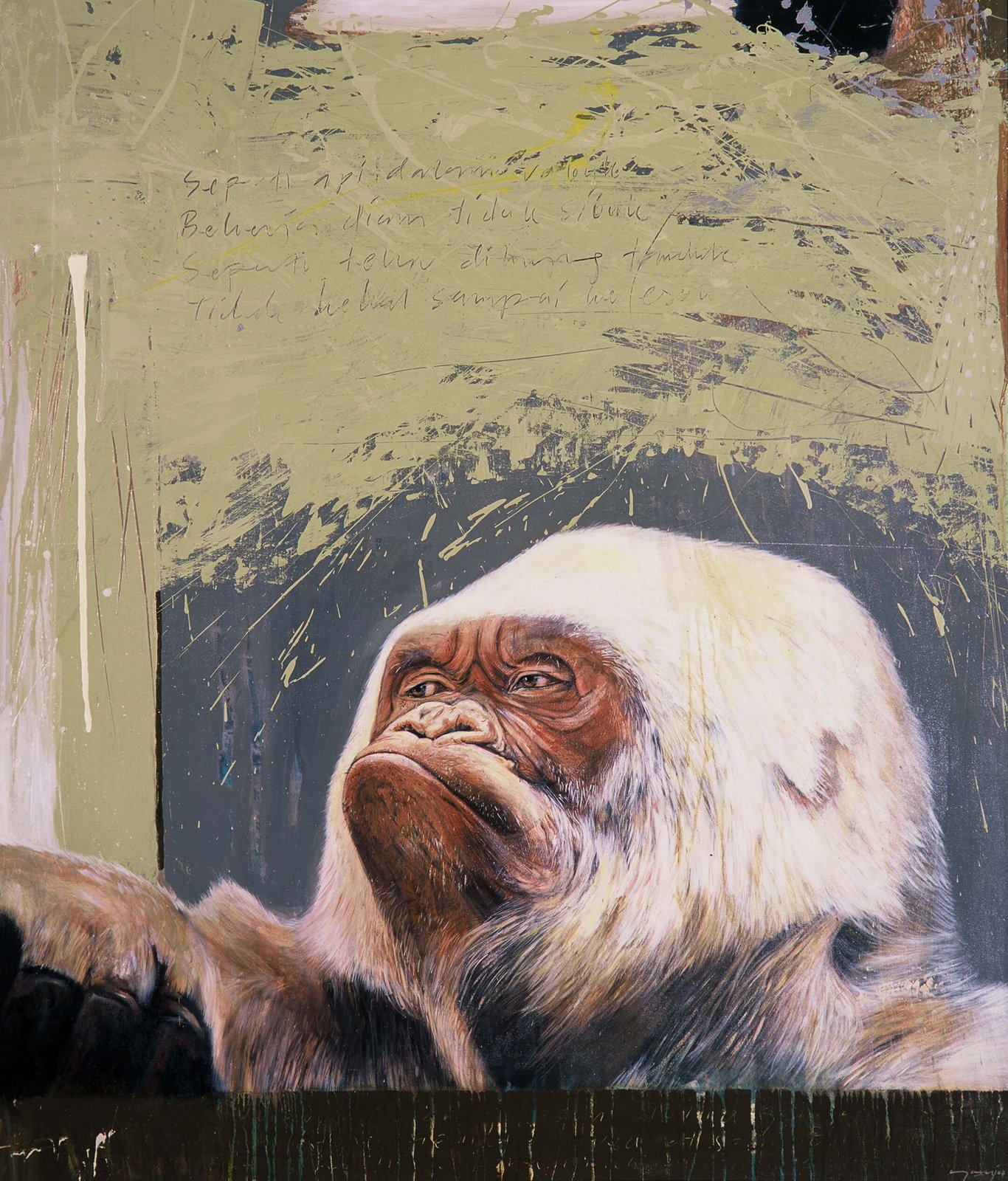 Ape