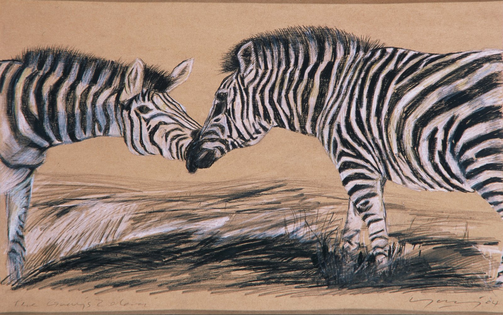 Zebras