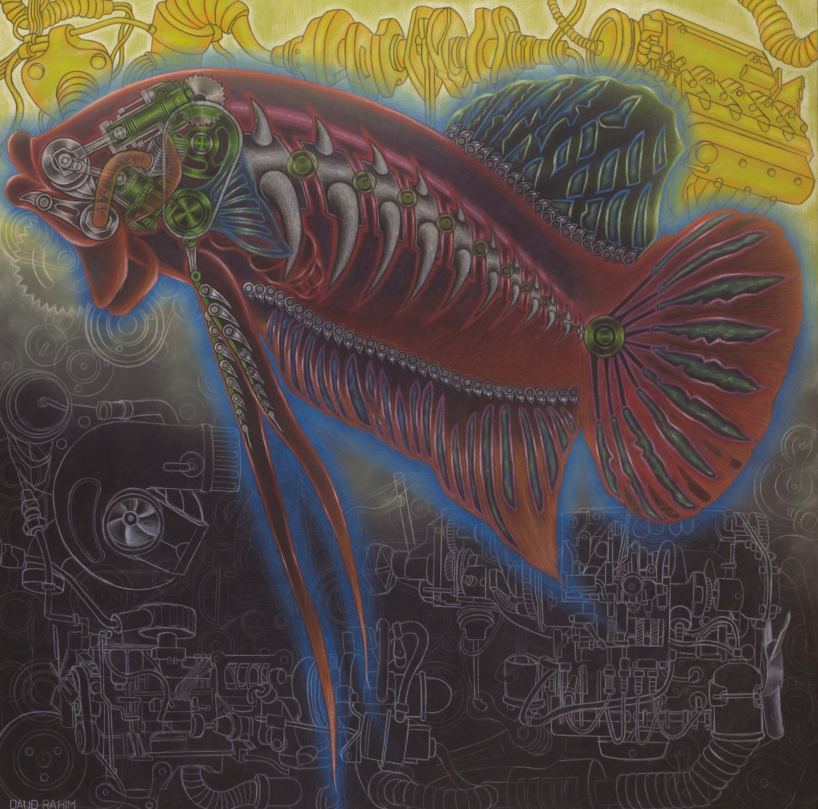 Ikan Laga 1