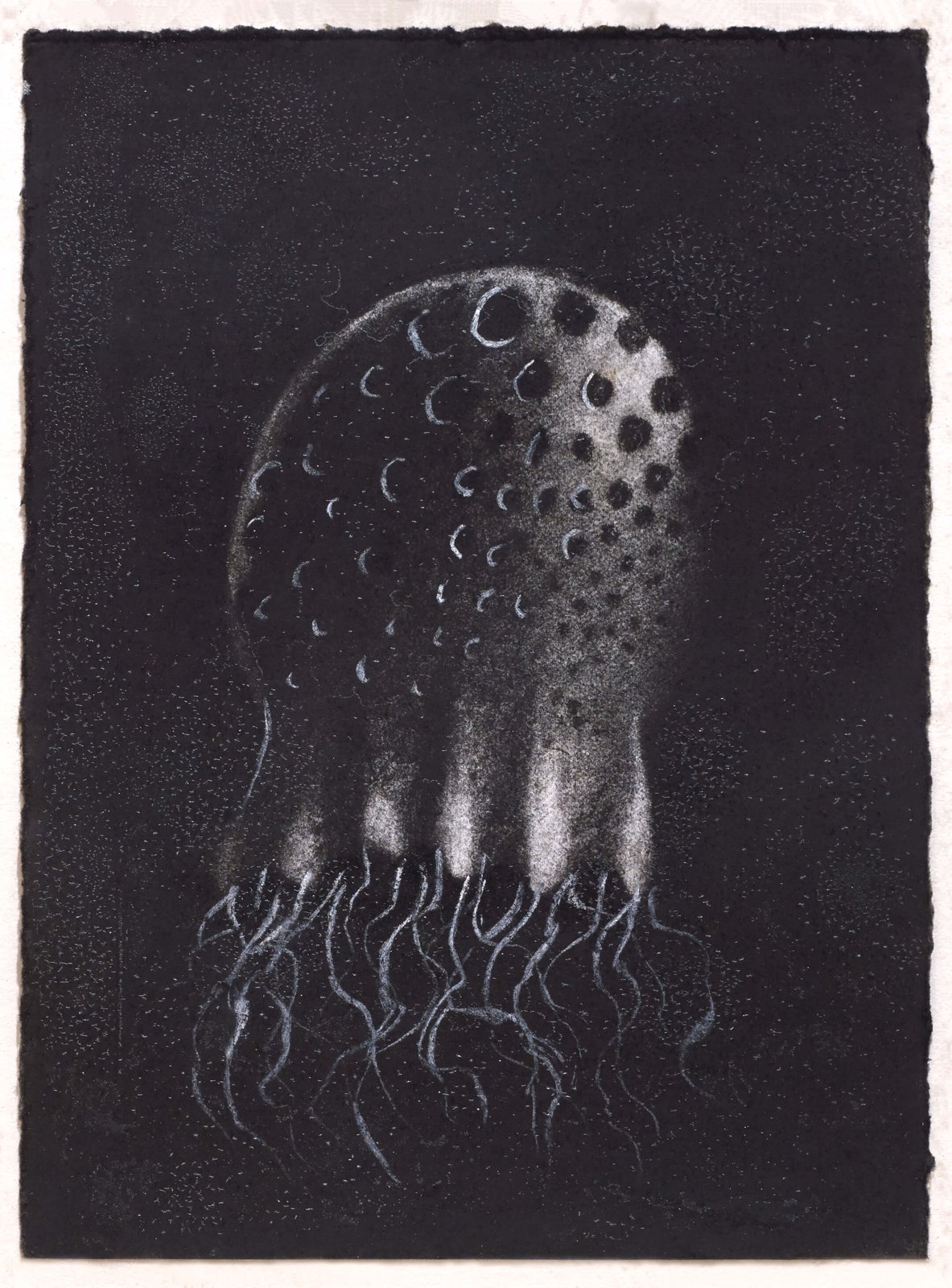 Study II